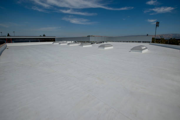 Best 4 Ply Roofing  in Argyle, TX